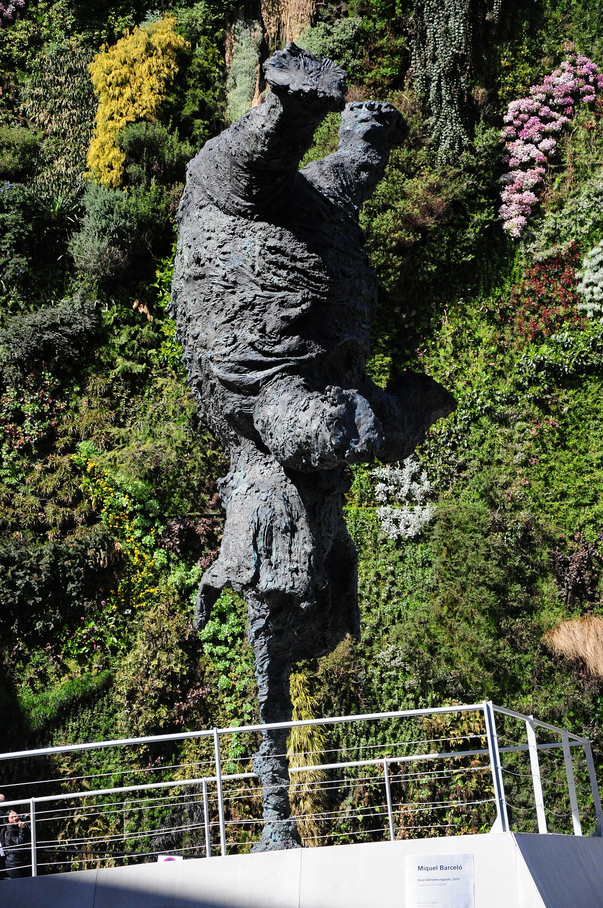 Gran elefant dret